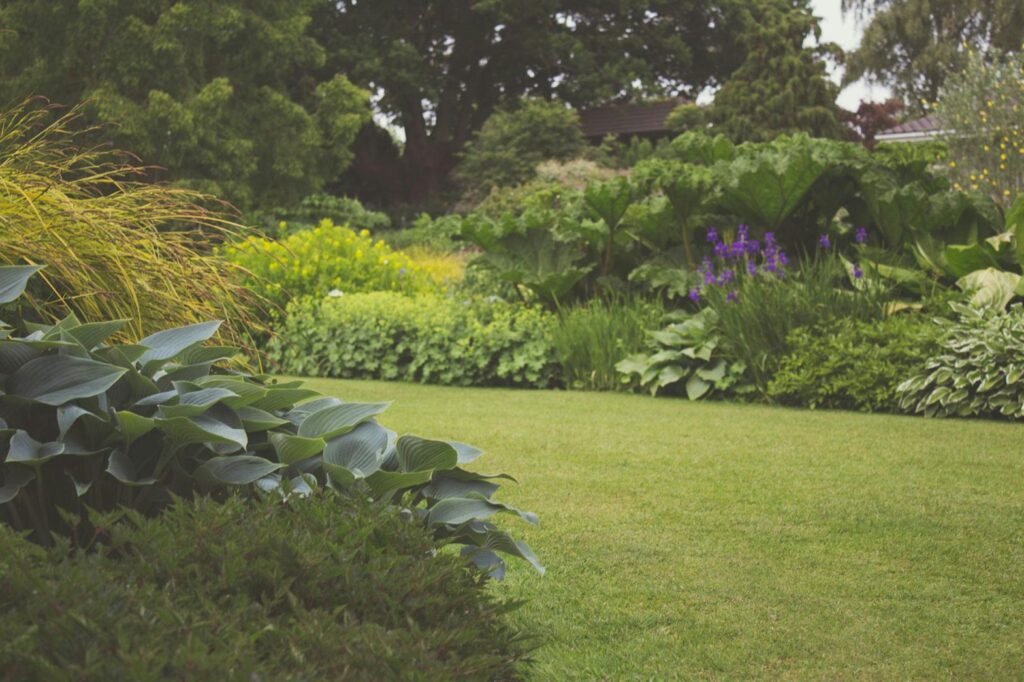 Pest-free landscaping that deters rodents in a Houston yard