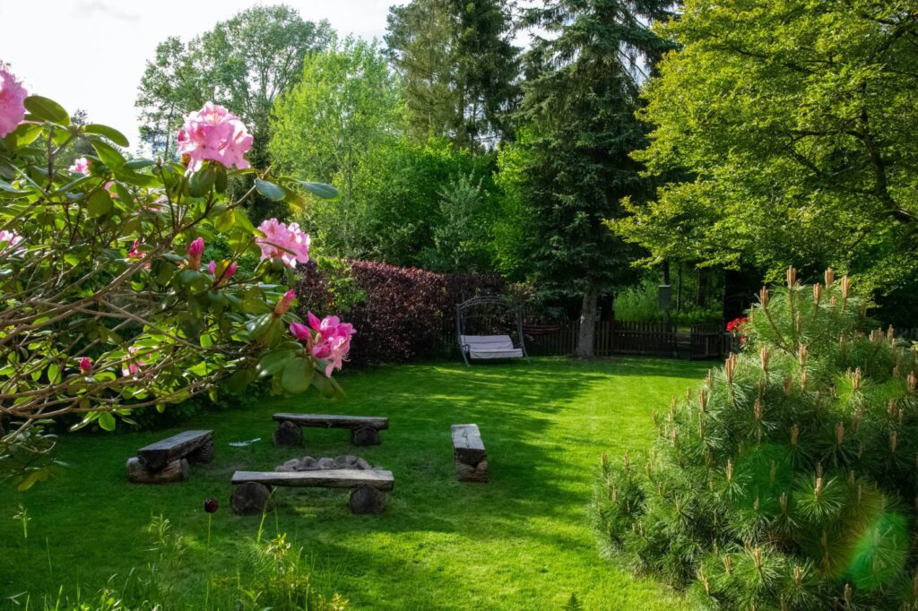 Pest-free backyard oasis for Houston homeowners