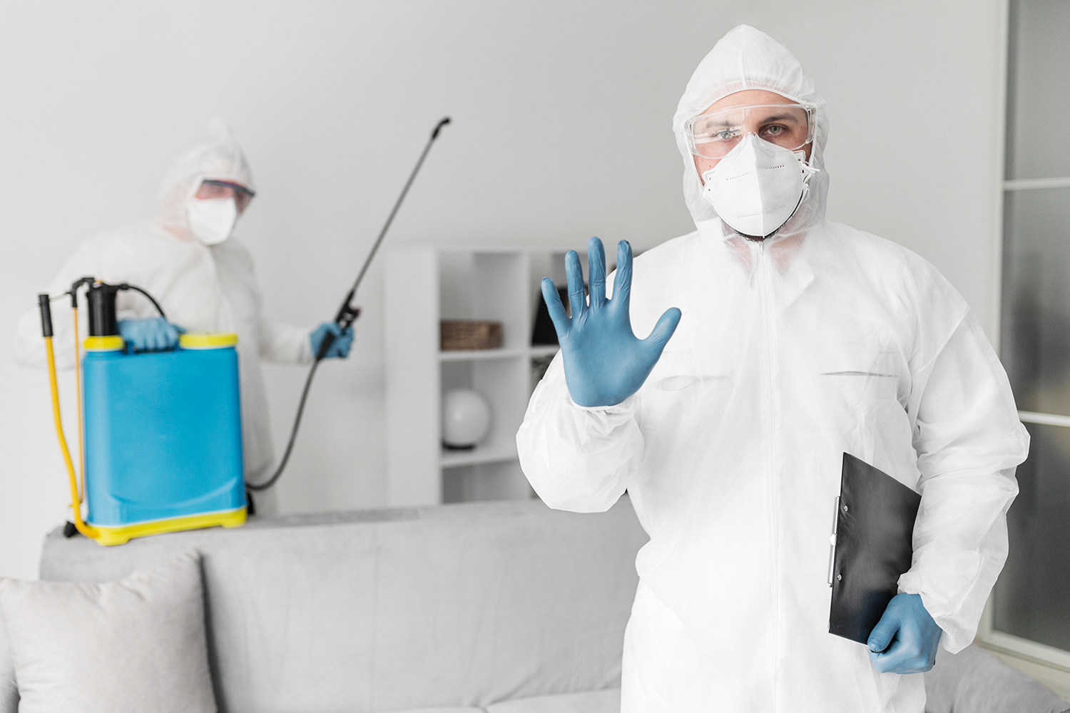 Your Guide to Preparing for Pest Control Treatment