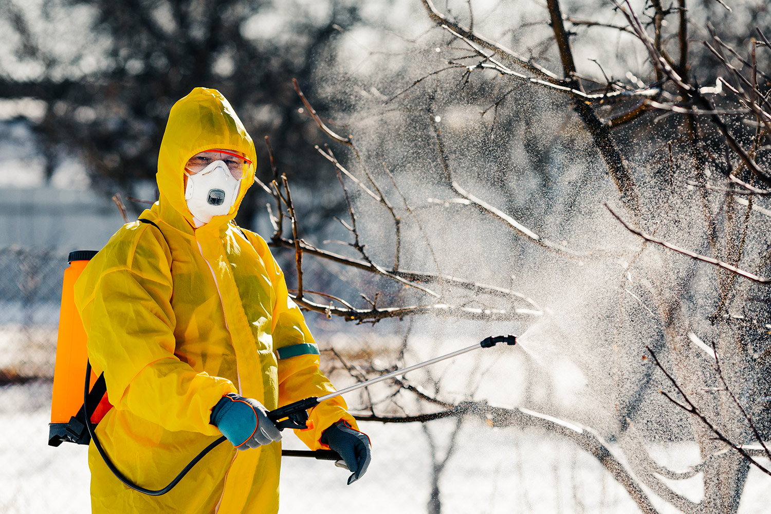 Commercial Winter Pest Control: Challenges in Cypress & Fort Bend County, TX | Conquest Pest Control
